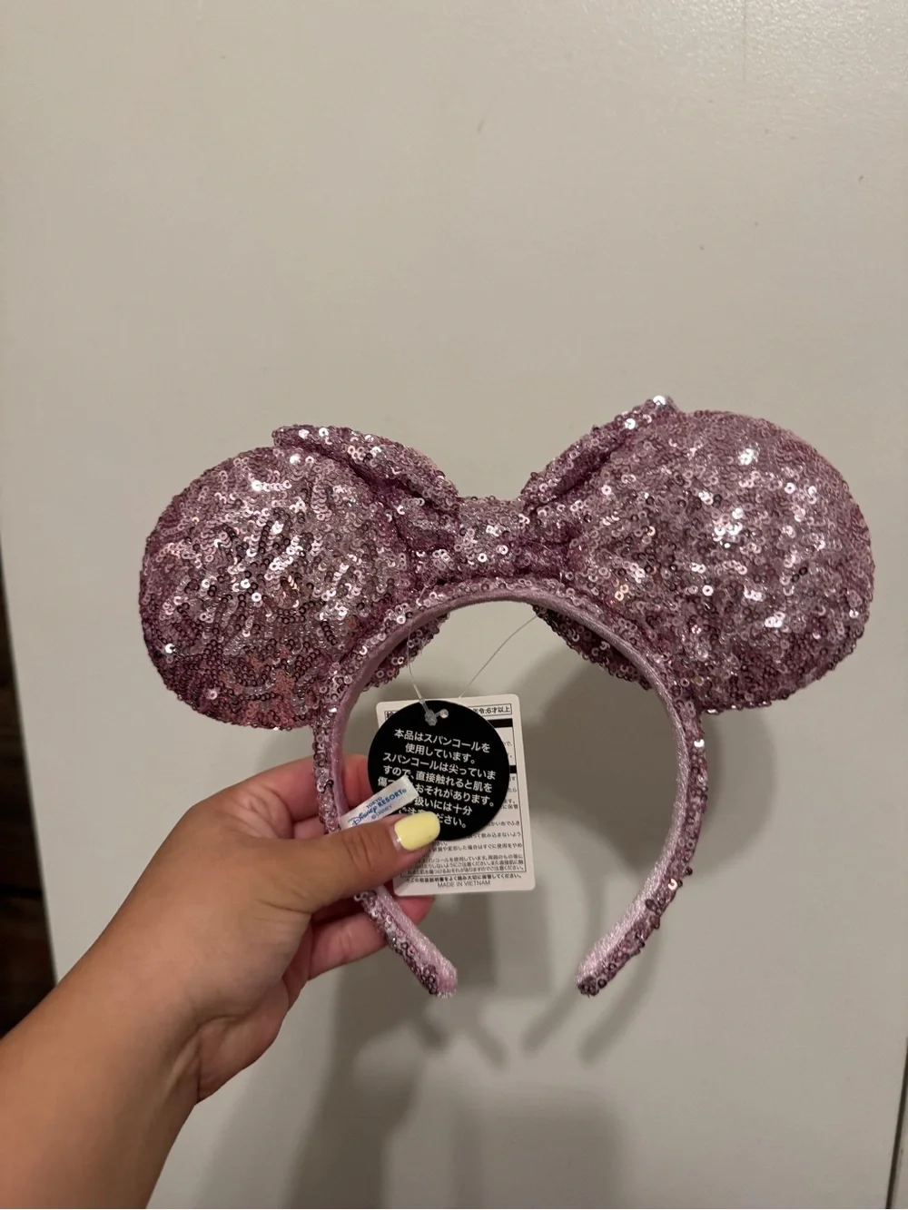 Disney tokyo disneyland